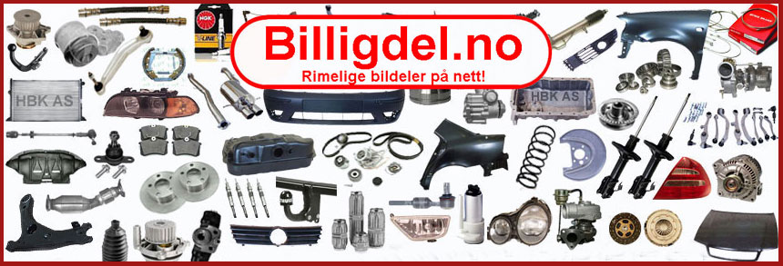 Billigdel logo