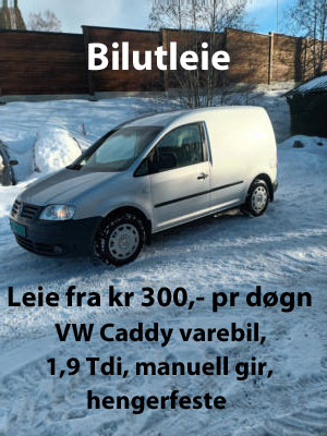 Leiebil Caddy 400 med info